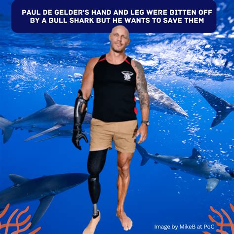 bull shark bit off his right hand and leg and he now wants to save sharks from extinction