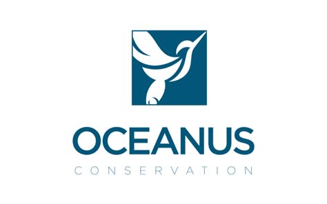 Ecop Programme Early Career Ocean Professionals
