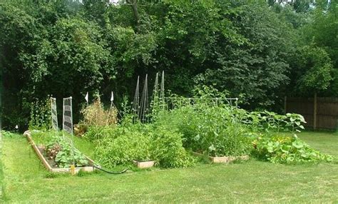 Small Vegetable Garden Ideas How To Plan And Design Them