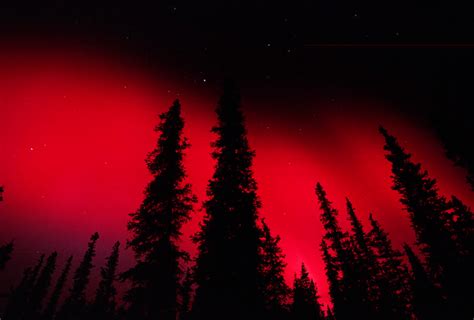 Red Aurora Nordik Simit