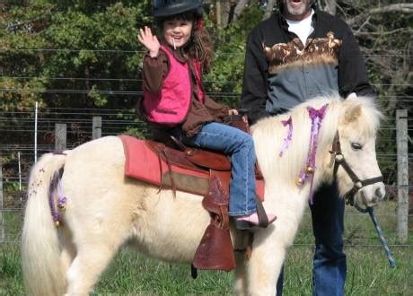 The all american petting zoo and pony ride is a family owned and operated business. Camel Rides & Petting Zoo | Israeli American Council