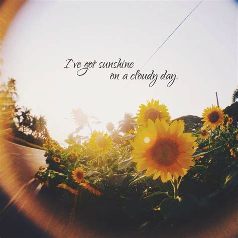 They fight whenever they can, as creative expression means a lot. Sunshine On A Cloudy Day Quotes. QuotesGram
