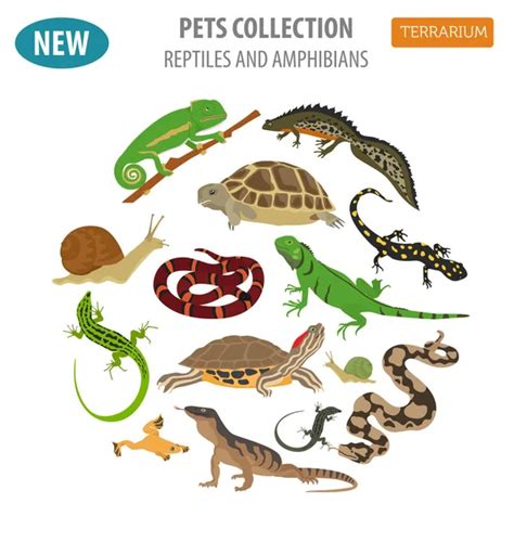 Pet Reptiles And Amphibians Icon Set Flat Style Isolated On Whit