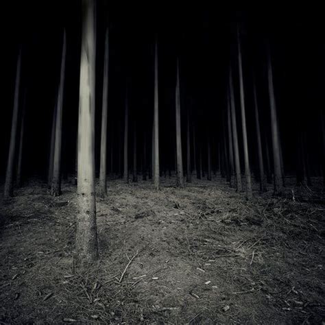 Dark Scary Forest Woods Dark Forest Night Scary Horror Creepy Night