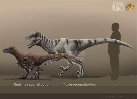 Atrociraptor Size Comparison Prehistoric Planet Prehistoric Animals