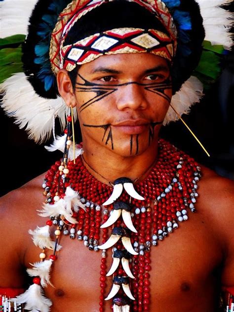 Indigenas Brasileiros Indios Brasileiros Povos Indígenas Brasileiros