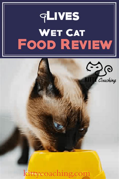 Topsearch.co updates its results daily to help you find what you are looking for. 9Lives Wet Canned Cat Food Variety Pack | KittyCoaching.com
