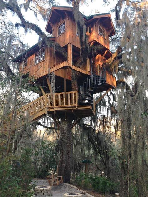 Check spelling or type a new query. Mother Treehouse - Spirit of the Suwannee Music Park ...