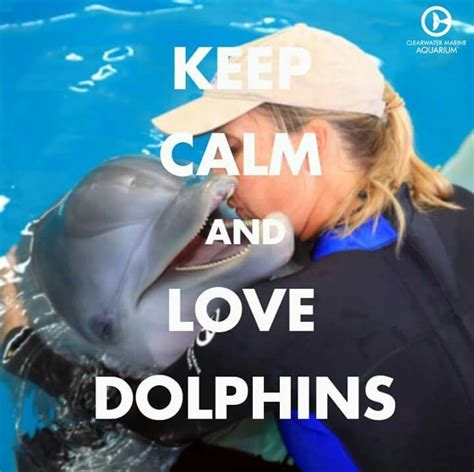 Keep Calm And Love Dolphins Clearwater Marine Aquarium Dolphins