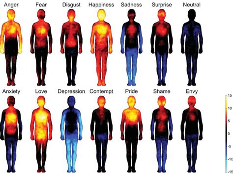 Feelings Corpo Humano Emoções Emoções Diferentes