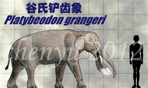 Platybeodon Grangeri By Sinammonite On Deviantart