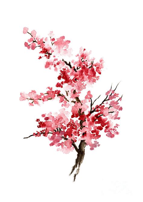 Cherry Blossom Pink Ts For Her Sakura Giclee Fine Art Print