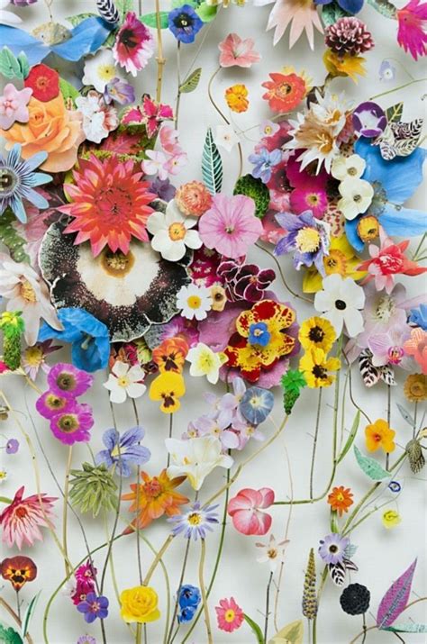 De Magnifiques Collages Dart Floraux Poussent Dans La Toile Flower