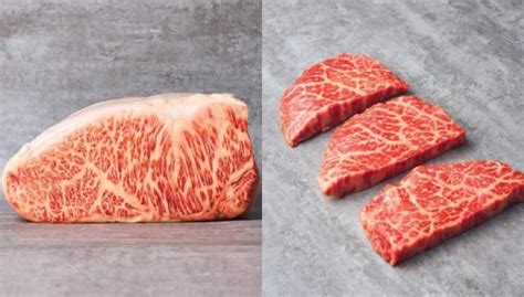 All You Need To Know About The Japanese Wagyu Beef Nusaduatanza