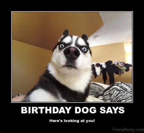 48 Amazing Birthday Memes