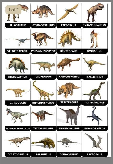 An Image Of Different Types Of Dinosaurs