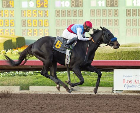 Thoroughbred season begins at Los Alamitos Race Course