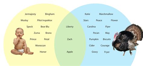 Bago matapos ang taon, kumustahin naman natin ang mga ipinanganak na baby ng famous celebrity dito sa philippines ngayong 2020—abangan din ang kanilang unique names! What Do Celebrity Babies Share with Presidentially ...