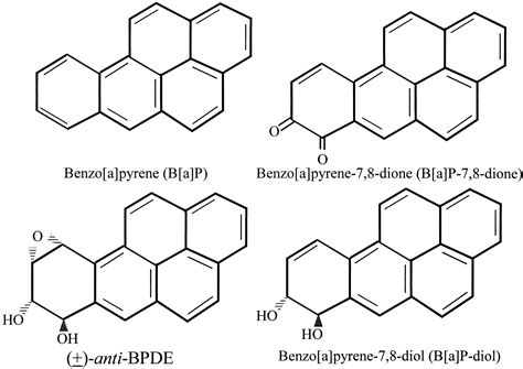 A Bioactive Metabolite Of Benzo A Pyrene Benzo A Pyrene 78 Dione
