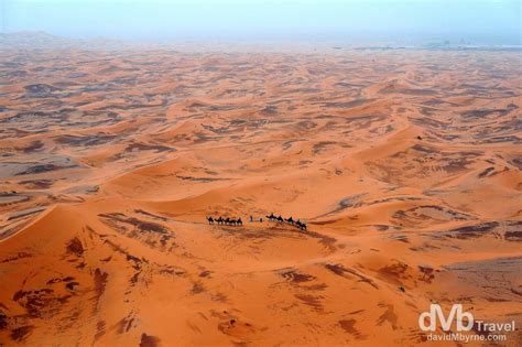 An analysis of protein found in the bones has revealed that. Erg Chebbi, Morocco - Worldwide Destination Photography ...