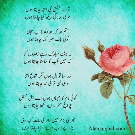 10 Best Allama Iqbal Poems In Urdu For Kids And Students 2023