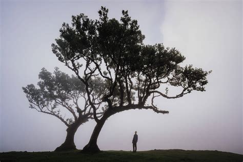 Madeira – a Photographer’s Paradise | Learn Photography by Zoner Photo