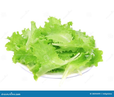 Fresh Lettuce On Plate Close Up Stock Image Image Of Foliage Cool