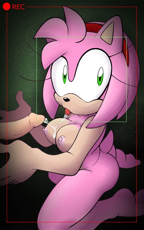 Rule 34 After Oral Amy Rose Anthro Blowjob Fullmetalsketch Oral Oral