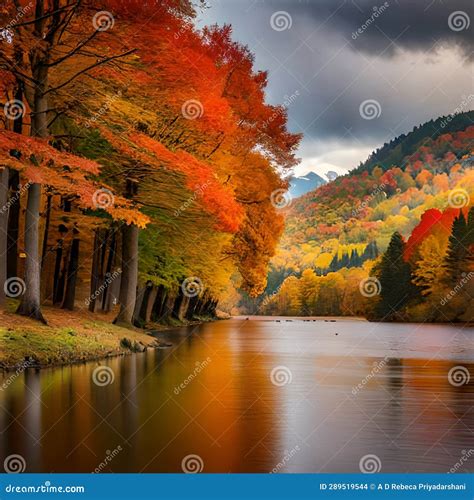 Captivating Autumnal Tranquility by the River S Edge" Stock Photo