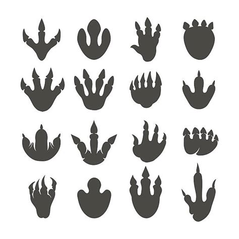 Royalty Free Dinosaur Footprint Clip Art Vector Images And Illustrations