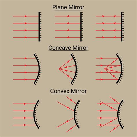 Plane Concave And Convex Mirrors Ray Diagram Vector Art At