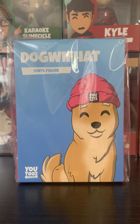 Has Anyone Else Had Dogwifhat Arrive I Just Opened Him Up On My