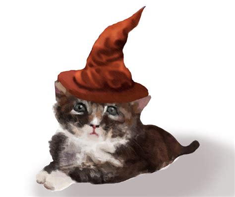 Wizard Cat By Pancakethedude On Deviantart