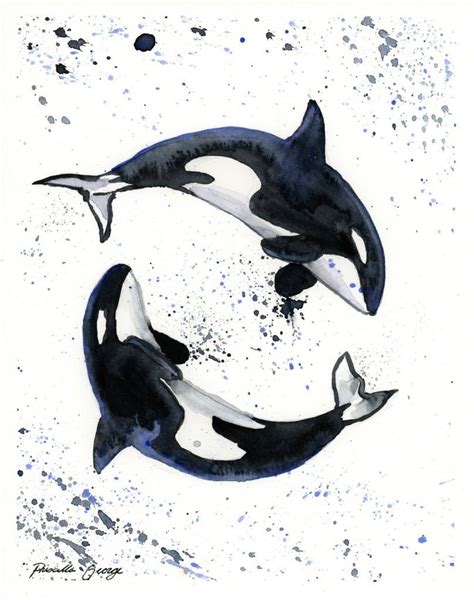 Orcas Watercolor Painting Print Priscilla George Fine Art Coastal