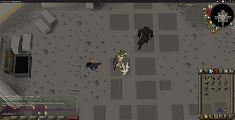 Agility Pet Is Easy R2007scape