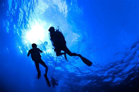 Top 999 Scuba Diving Wallpaper Full Hd 4k Free To Use