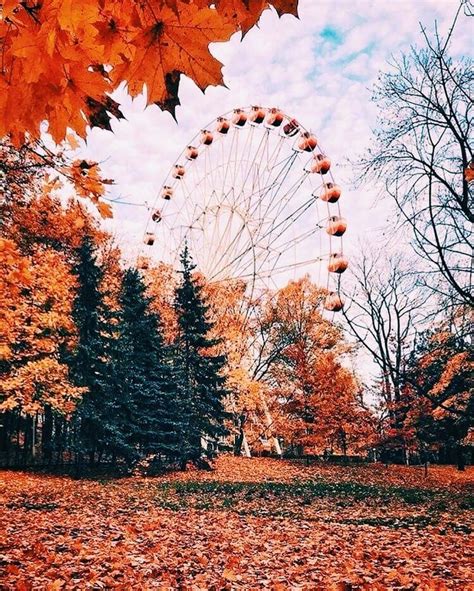Vsco Ivefallenforyou Fall Wallpaper Fall Pictures Scenery