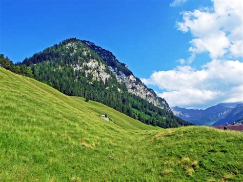 Alpine Pastures And Meadows In The Saminatal Alpine Valley And In The