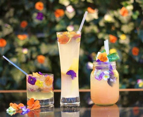 Place 1 cup sugar, 1 cup water and 1/2 teaspoon rose water into a small gin and elderflower tonic drinks garnished with autumn sage, which is edible, at the dallas. 76 best images about Edible flowers for drinks and ...