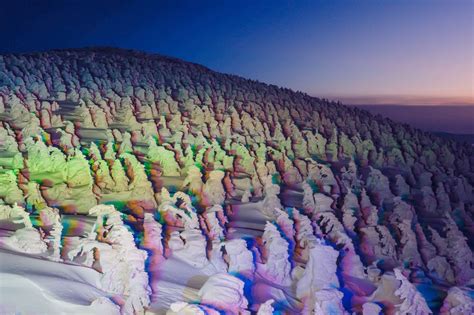 Juhyo The Snow Monsters On Japans Mount Zao The Atlantic