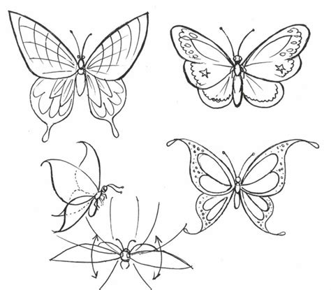 1001 Idées De Dessin De Papillon Pour Sinspirer Et Apprendre Comment