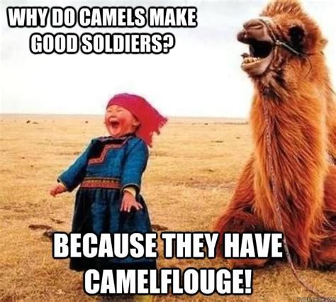 37 Very Funny Camel Memes Images Pictures And Photos Picsmine