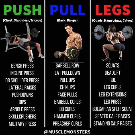 Create Your Own Push Pull Legs Routine Choose Exercises Per Muscle Group Perform S