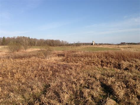 Free Images Landscape Tree Nature Marsh Wilderness Plant Field