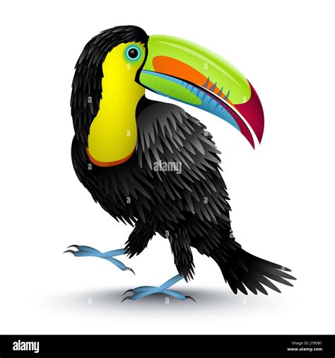 Toucan Mascot Hi Res Stock Photography And Images Alamy