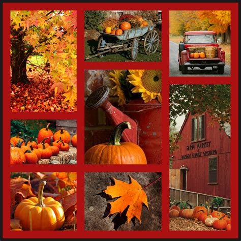 Beauty 16 Collage By Becky J Autumn Scenes Autumn Beauty Fall Photos