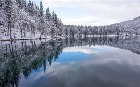 Descargar Fondos De Pantalla Paisaje De Invierno Lago Nieve árboles