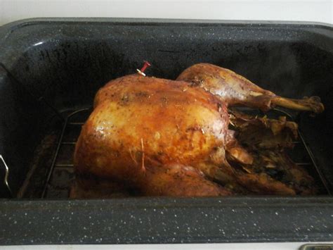 how to cook a perfect turkey in a nesco roaster