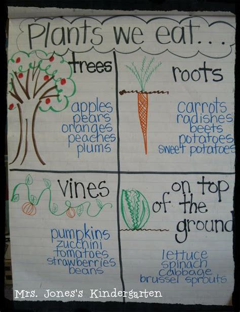 Plants We Eat Anchor Chart Preschool Garden Spring Preschool
