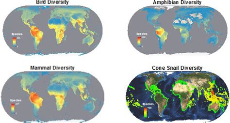 World´s Biodiversity Mapping To Observe Endangered Species